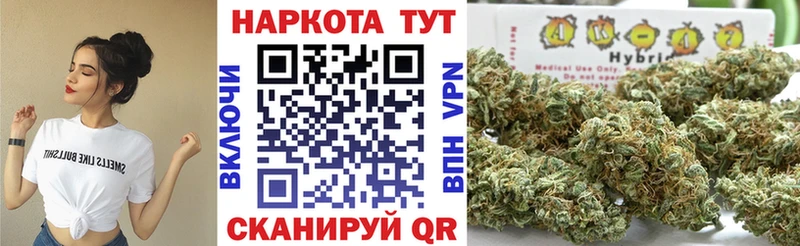 Виды наркотиков купить Тайга ГАШИШ  Меф 