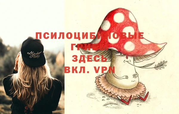 хмурый Нязепетровск
