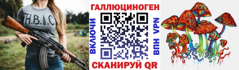 Псилоцибиновые грибы Psilocybine cubensis как найти Тайга