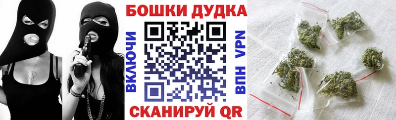 кракен онион  Тайга  Марихуана индика 